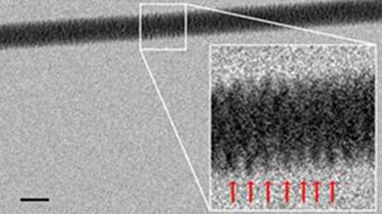 Pierwsze na świecie zdjęcie helis DNA, wykonane mikroskopem elektronowym 3