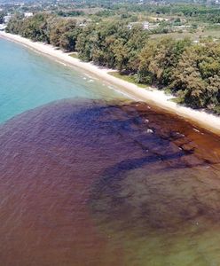 Katastrofa ekologiczna w turystycznym raju. Plama ropy zagraża wybrzeżom i rafie koralowej