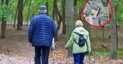 Ponad 300 zł dla seniorów. Komu należą się pieniądze?