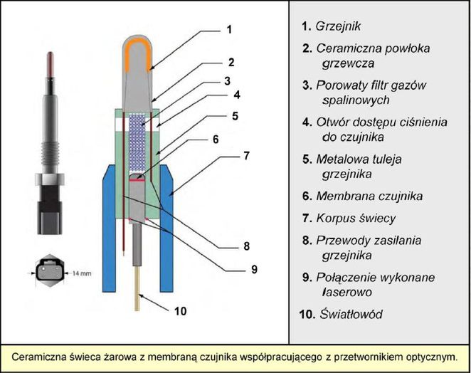 Zdjęcie ilustracyjne do artykułu