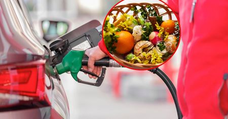 Wielkanoc 2025 tańsza niż przed rokiem? W jednym przypadku tak