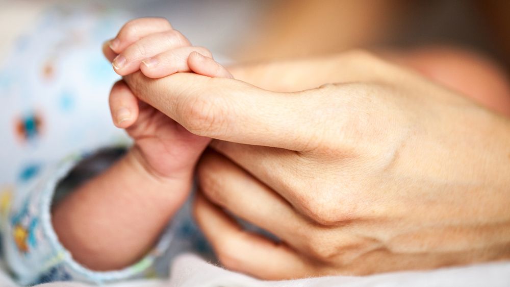 Co widać zza okna życia? 