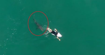 Przerażające nagranie. Akurat przelatywał tamtędy dron