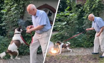 Korwin-Mikke rzuca psu petardę. Prawniczka zapowiada zawiadomienie