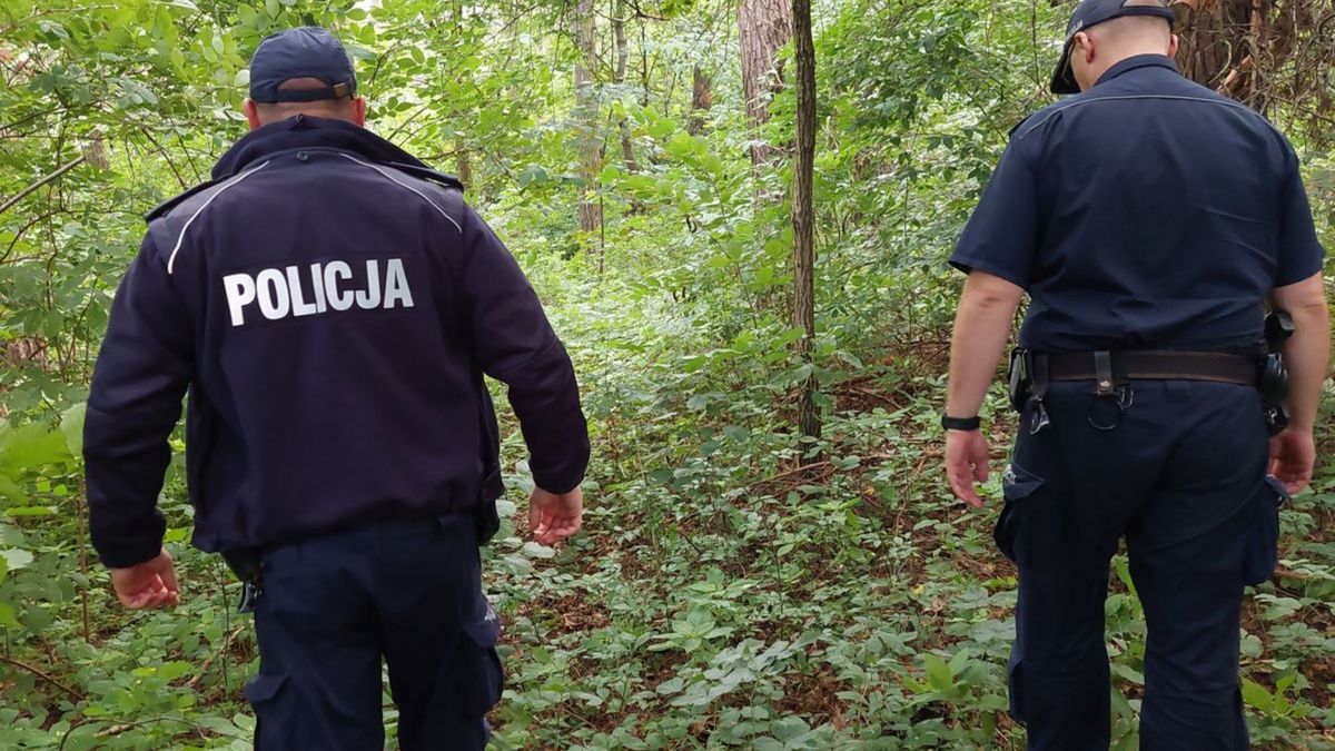 Tragedia w lesie (zdj. ilustracyjne).
