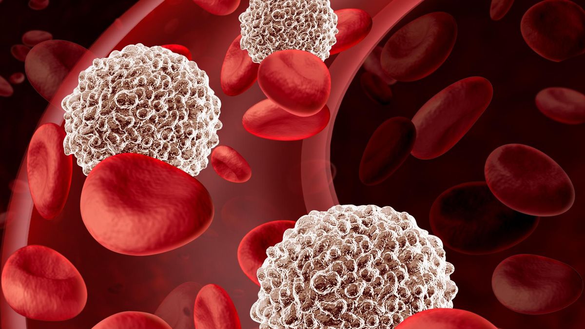 Krwinki czerwone i białe