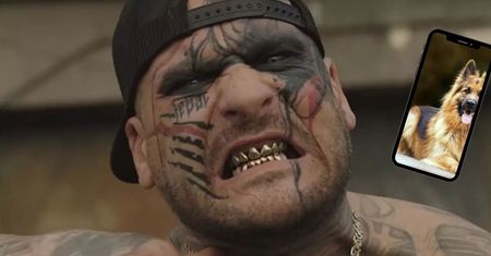 Popek próbował popełnić samobójstwo po aferze z psami?