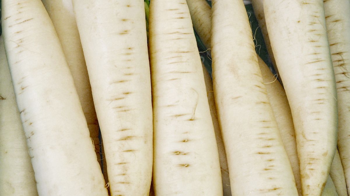 Pomylić pasternak z pietruszką nie jest trudno w supermarkecie