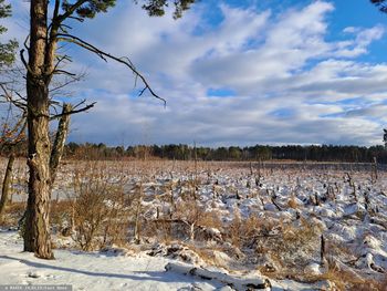 Nowe dopłaty dla rolników od 2026 r. Oto kto może się starać