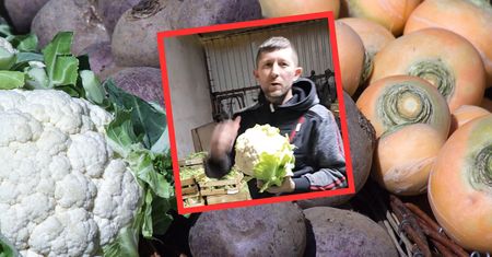 Rolnik wrzucił post. Takiego zainteresowania się nie spodziewał