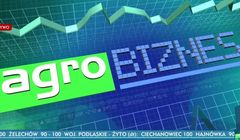 TVP Info z dodatkowym „Agrobiznesem”