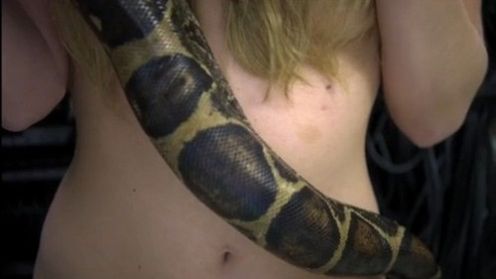 "Na początku Cisco stworzyło niebo i ziemię" (wideo) 1