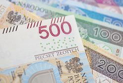 Ruszył nabór wniosków o 500+ na kolejny rok. ZUS podał najnowsze dane