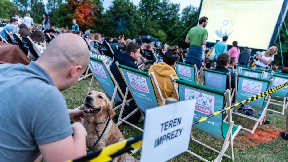 Już można organizować pokazy filmowe w plenerze oraz w tzw. kinach samochodowych