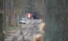 Nietypowe znalezisko w puszczy. Sprawę badają śledczy