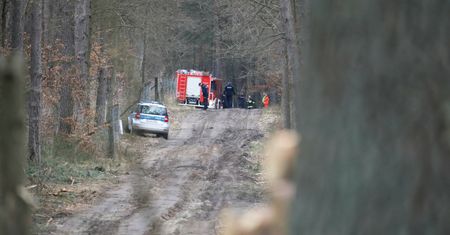 Nietypowe znalezisko w puszczy. Sprawę badają śledczy