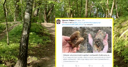 Ludzkie kości na Górkach Czechowskich. Będzie śledztwo