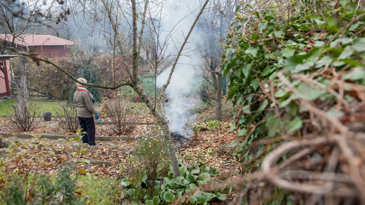 Wychodząc w plener, czy to do ogrodu, czy to na działkę, otwieramy pole do kłótni między sąsiadami. Bo kosiarka chodzi za głośno, bo oczko wodne jest za duże.