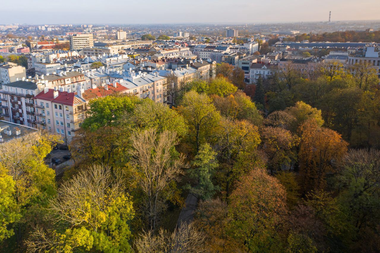 Lublin „W koronach drzew!”. Mieszkańcy złożyli pomysły