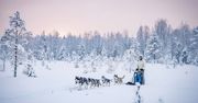 Tak zimo w Laponii dawno nie było. Temperatura spadła do -40 st. C