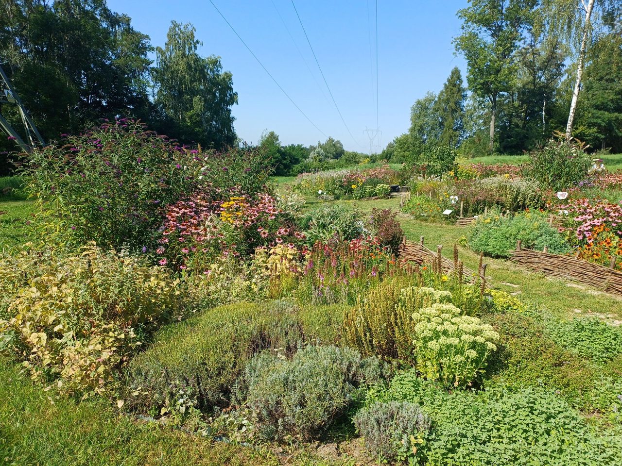 Radzionków: Śląski Ogród Botaniczny w ma już dziesięć lat
