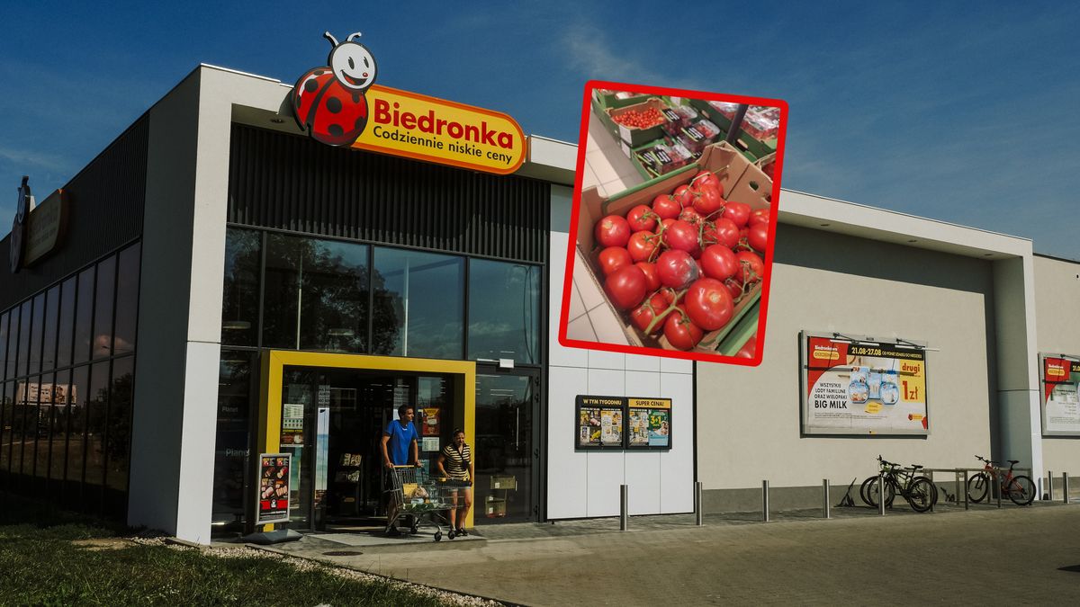 Zgniłe pomidory w Biedronce.