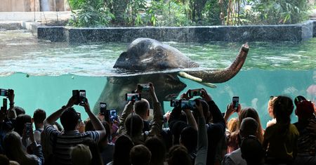 Promocje za oceny. Media Expert ma ofertę dla piątkowiczów, a zoo w Łodzi dla tych, którym nie poszło