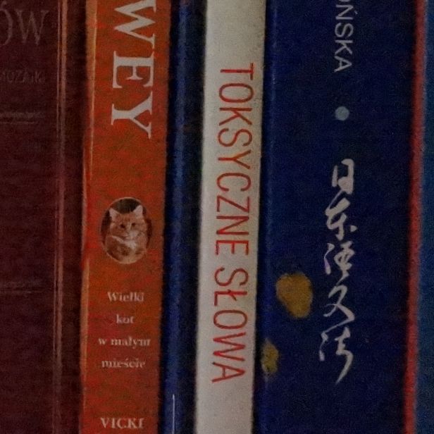ISO 25600
