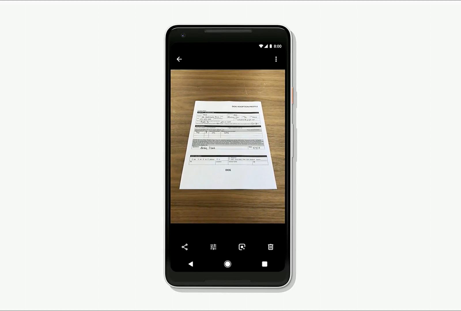 Zdjęcia Google z masą nowych funkcji. Sztuczna inteligencja pokoloruje czarno-białe fotki i udostępni je znajomym 5