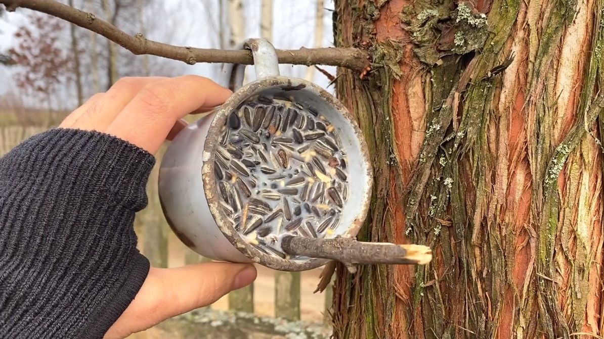 Zrób to sam: domowy karmnik dla ptaków. To prostsze niż myślisz 1