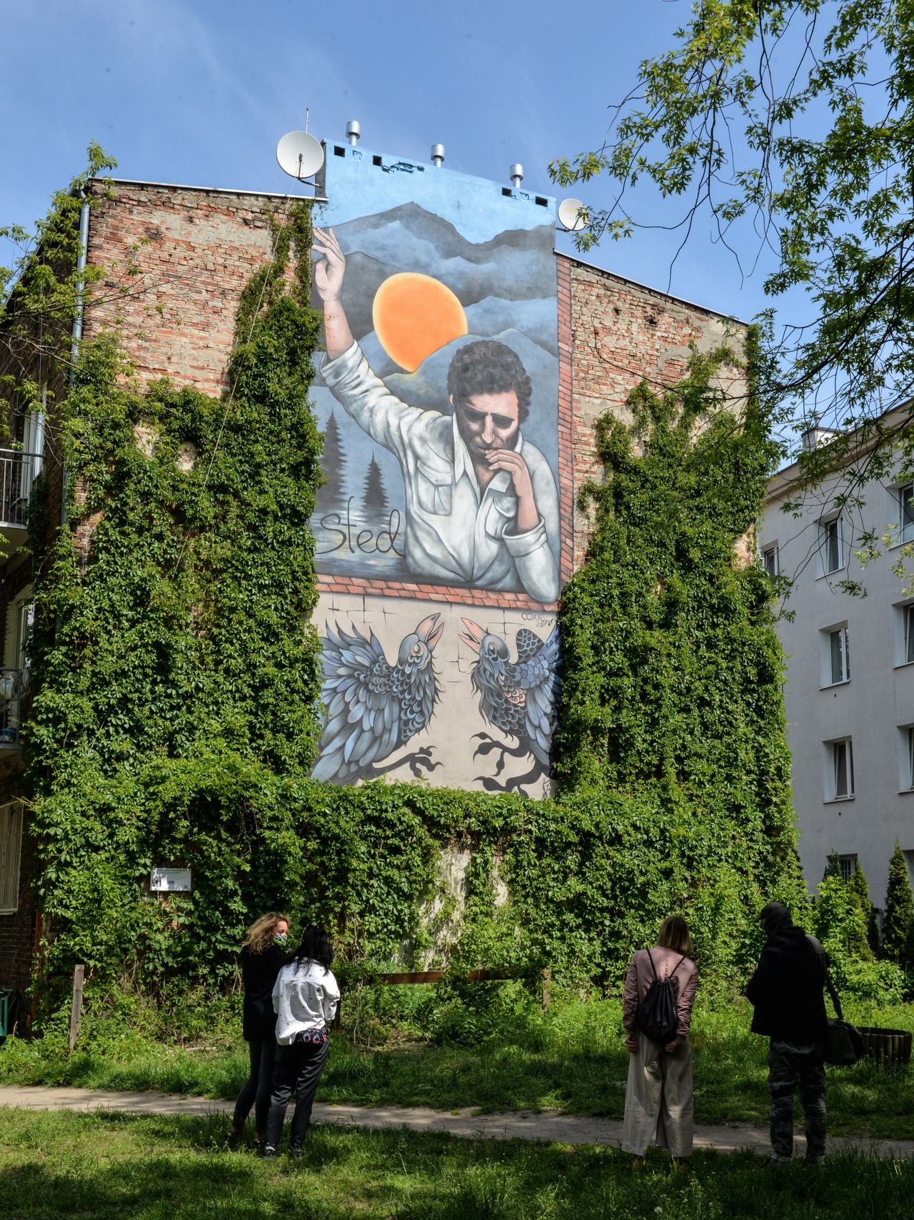 Warszawa. Stachura trafił na mur