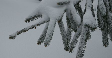Alert IMGW dla dwóch województw. Ostrzeżenie przed opadami śniegu