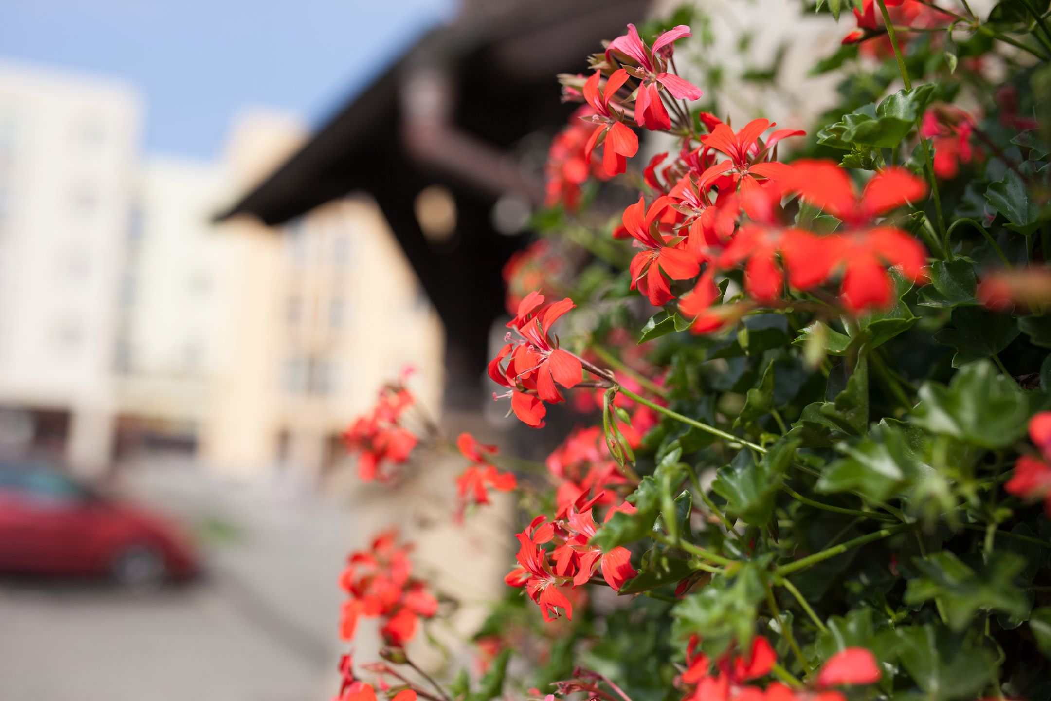 Sigma 35 mm f/1.4 ART DG HSM - od niej wszystko się zaczęło [recenzja] 10