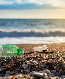 Skąd śmieci na plażach? Wyniki badań