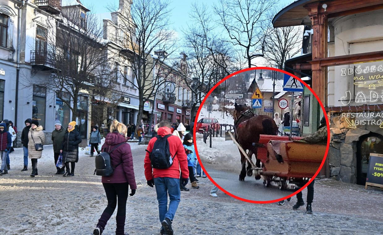 Znaleźli sposób na turystów. "Nie skorzystali w Zakopanem"