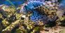Oceanarium w Gdyni