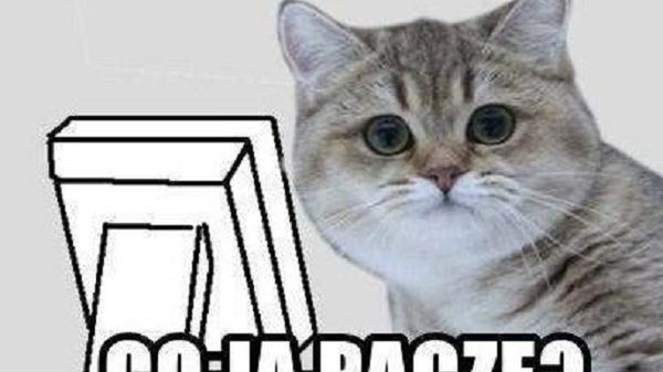 Cojapaczaizm podbija świat 1