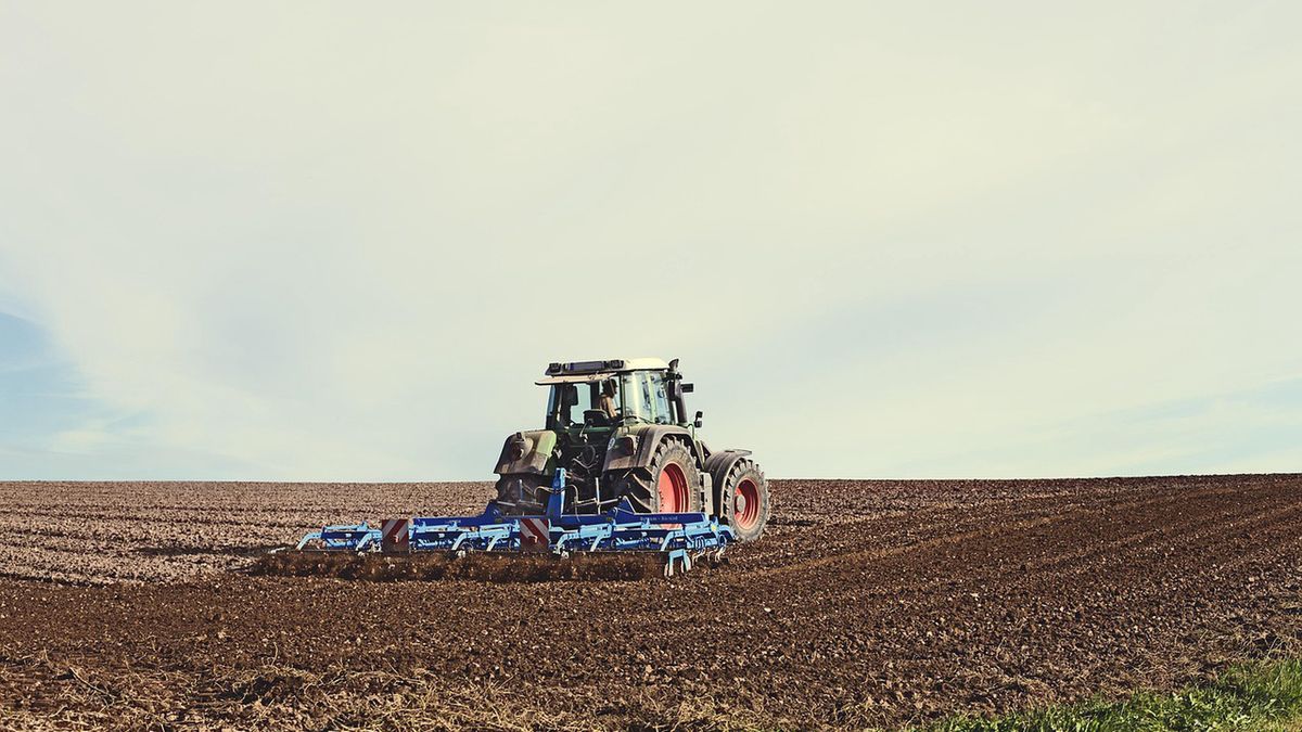Zdjęcie ilustracyjne