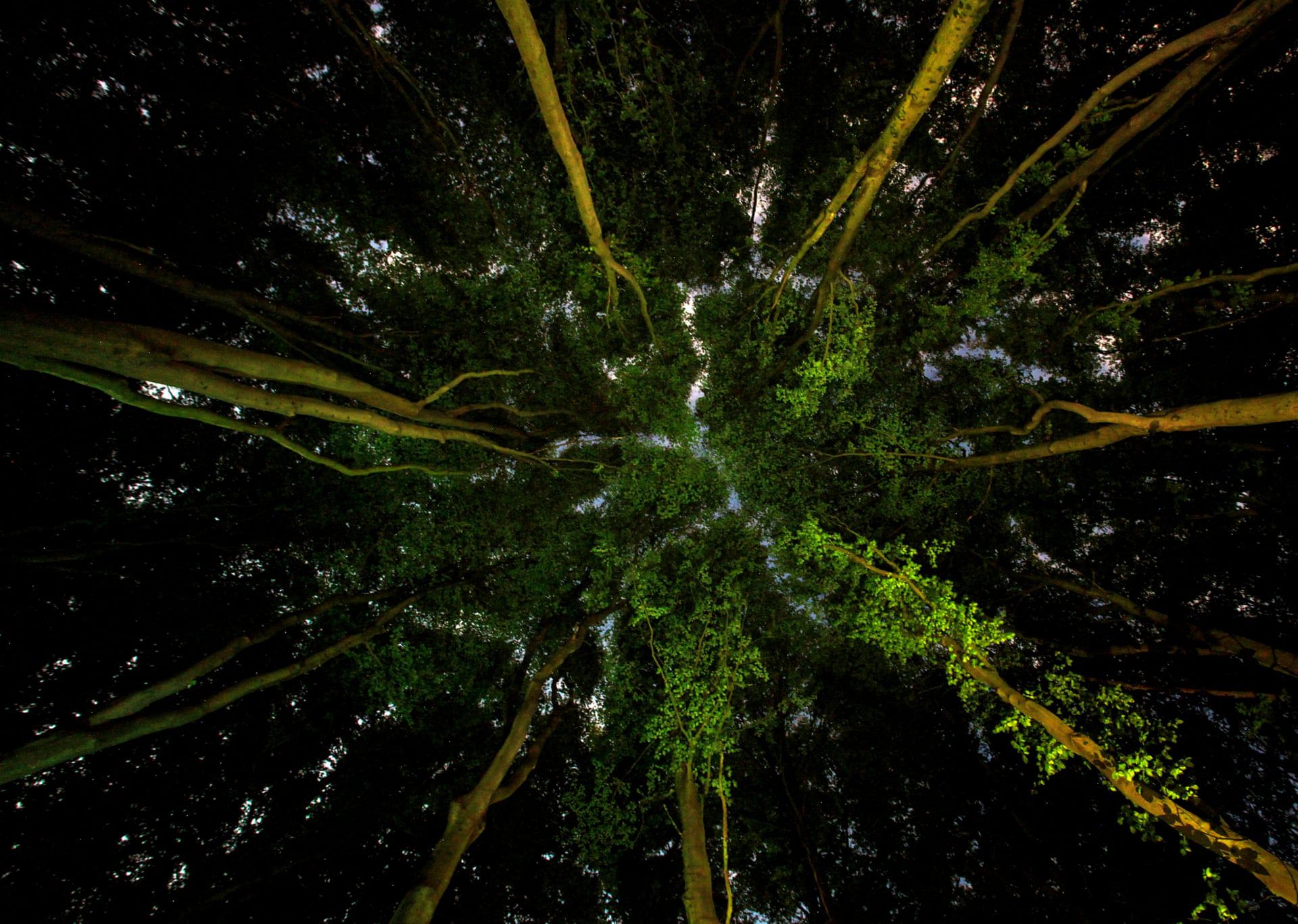 Enviromental Photography Of The Year 2019. Tak wygląda nasza planeta 10
