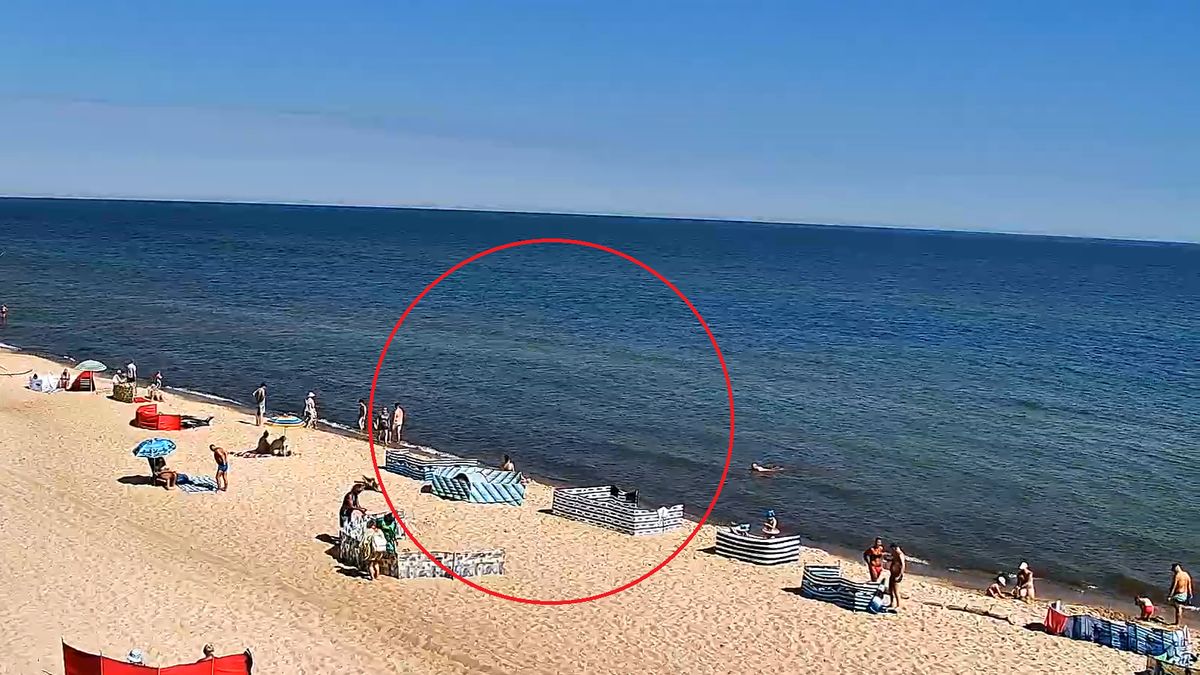 Parawan z widokiem na morze. Taki widok w Chłapowie.