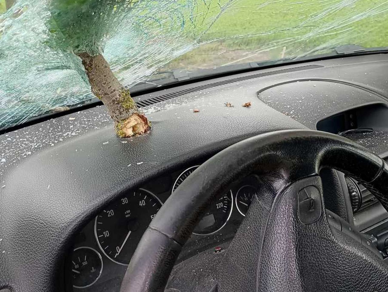 Szczepankowo: Złamany konar przebił szybę czołową osobówki