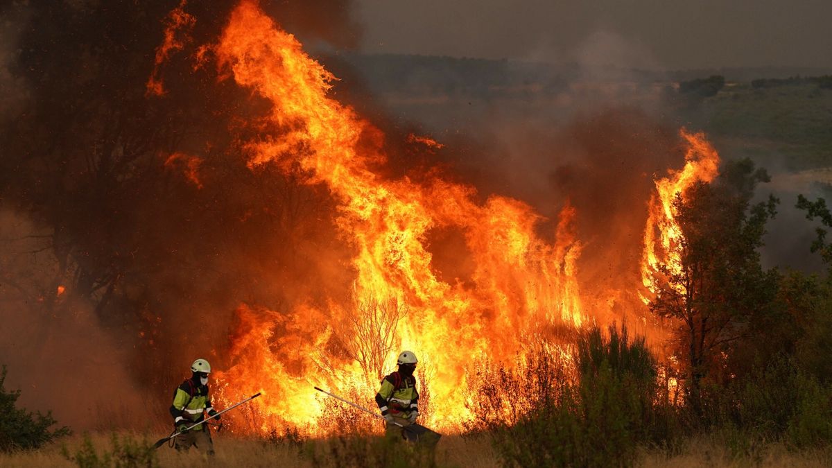 Po?ary w Hiszpanii
Firefighters work to extinguish a wildfire near Losacio, north of Zamora, on August 12, 2025. A man died from burns and thousands of people were forced to evacuate as wildfires swept through parts of Spain, fueled by strong winds and a searing heat wave that has gripped the country for 10 days. (Photo by CESAR MANSO / AFP)
CESAR MANSO