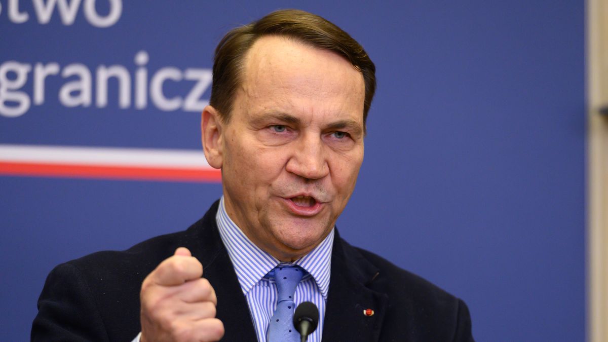 Polish Deputy Prime Minister and Foreign Minister Radoslaw Sikorski gestures as he speaks during a joint press conference with his Czech counterpart Petr Macinka in Warsaw, Poland, on February 16, 2026. (Photo by Aleksander Kalka/NurPhoto via Getty Images)