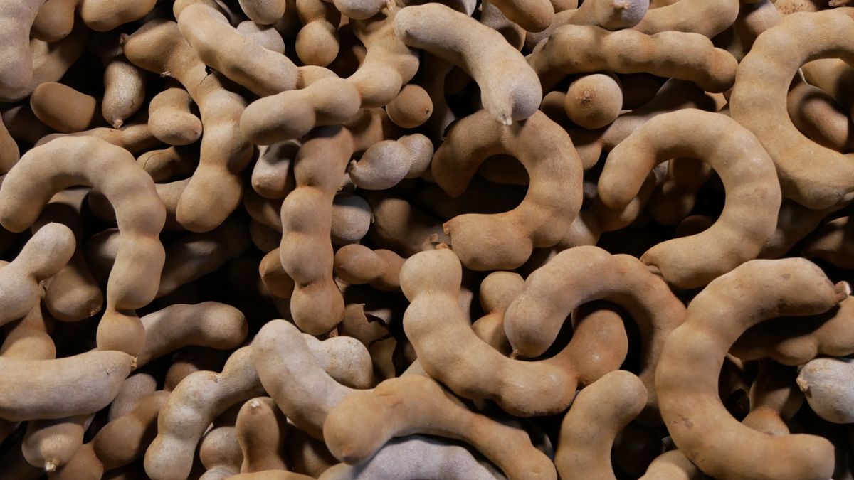 Pasta z tamaryndowca