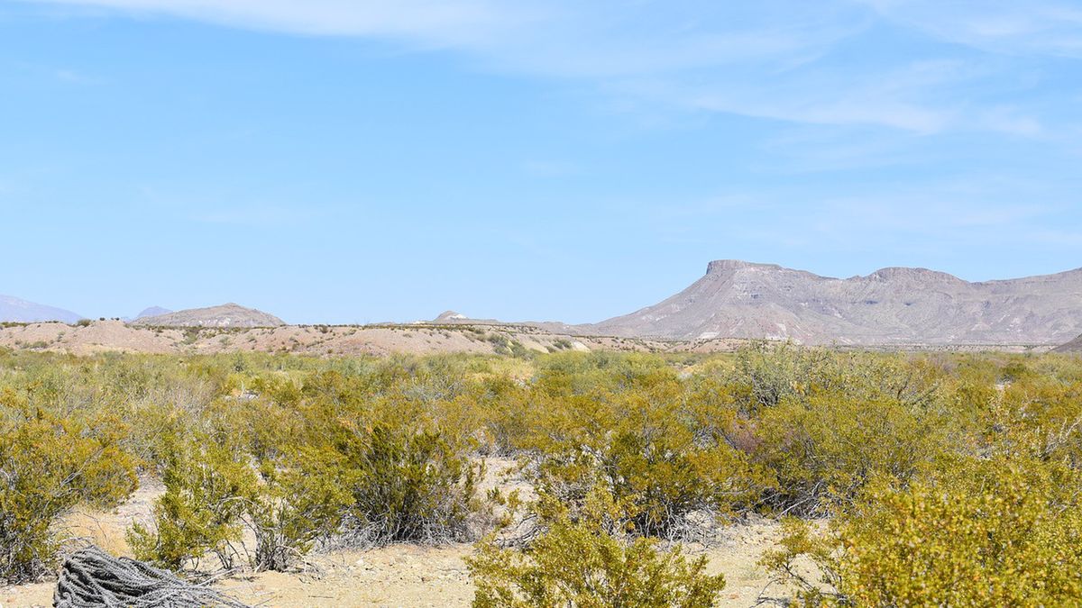 Do tragedii doszło w Parku Narodowym Big Bend w USA