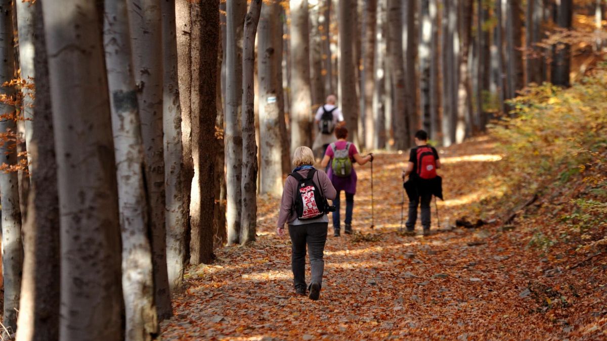 Beskid Śląski z dziećmi