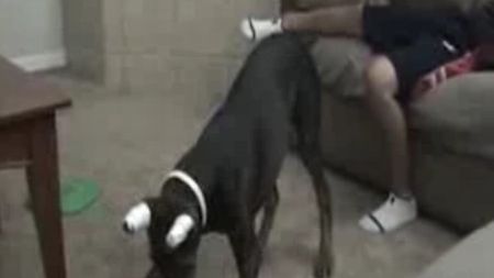 Tak nie należy używać wskaźnika laserowego! (wideo) 1