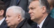 Orban nie poprze sankcji. Kaczyński nie szczędzi mu ostrych słów