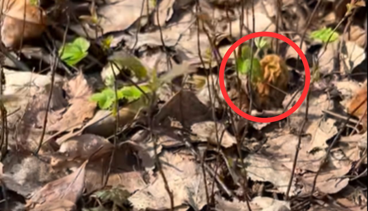 Nawet się nie schylaj. Aż 5 tys. zł kary