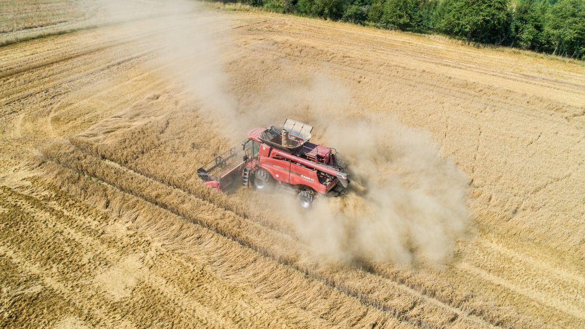 Słowacja wstrzymuje import zboża z Ukrainy
